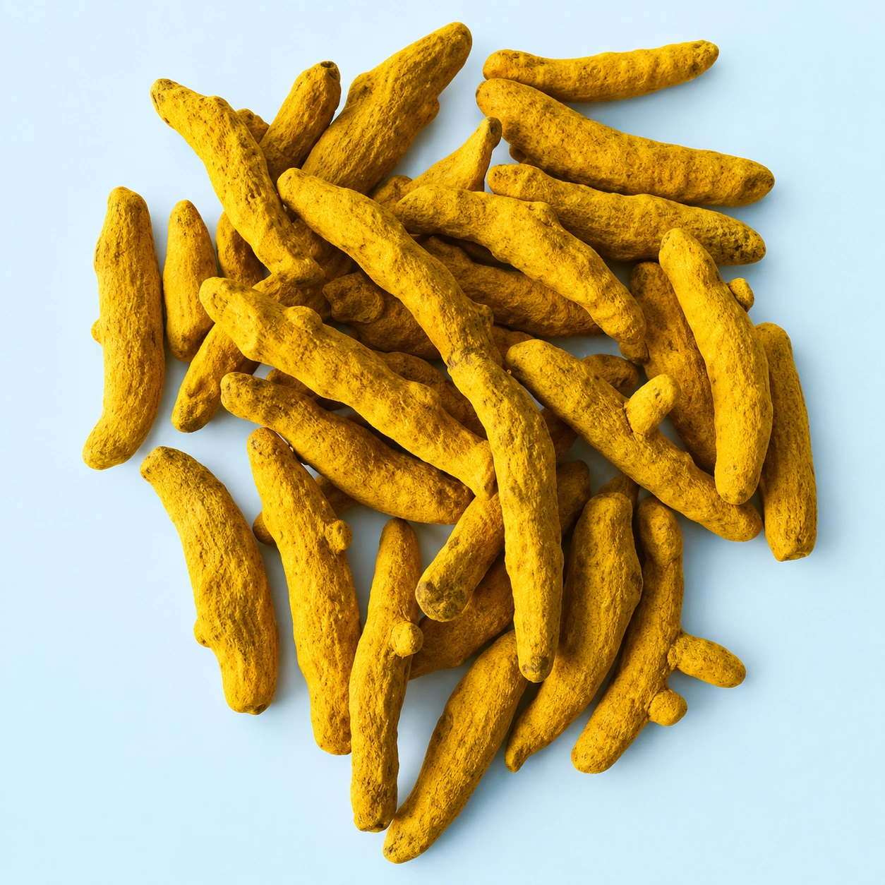 Premium Erode turmeric finger