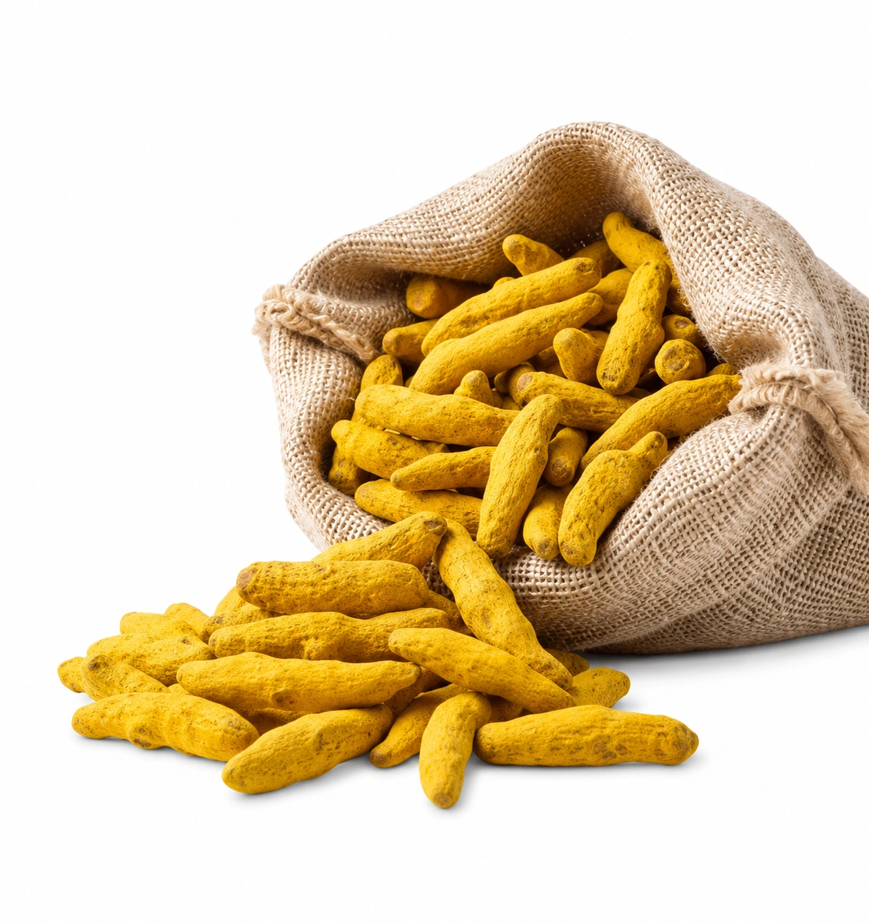Rajapuri turmeric finger, alternate view